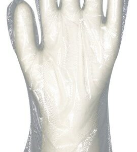 Gants quick/ldpe transparent taille l (100)